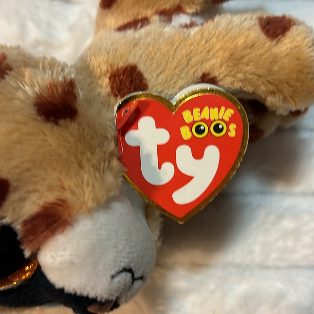 2015 Beanie Boos Ty Buckwheat 6” September 14 EUC - Picture 5 of 8